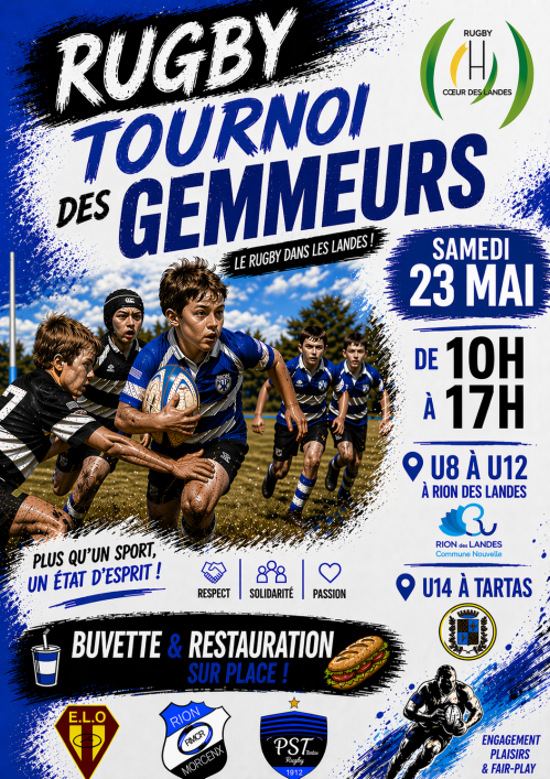 Tournoi des gemmeurs.png