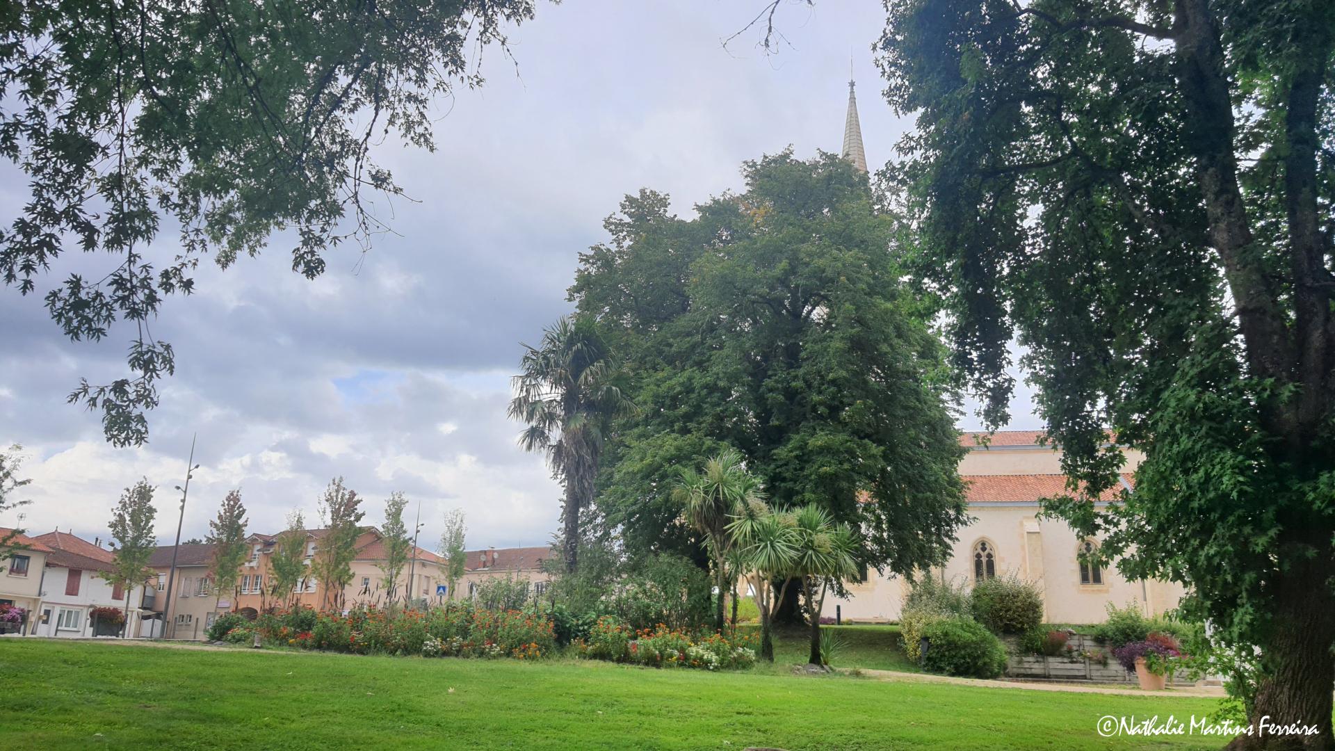 Vue depuis le ruisseau 3.jpg